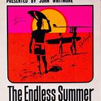 The Endless Summer1
