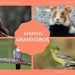 animais granívoros1