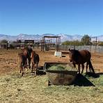 Ridgecrest Regional Wild Horse and Burro Corrals Ridgecrest, CA1