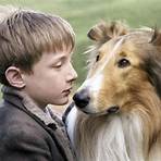 Lassie kehrt zurück Film2