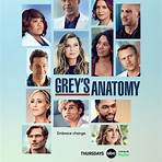 19 temporada de grey's anatomy online gratis1