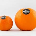 valencia orange2