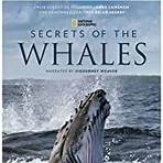 Secrets of the Whales série de televisão1