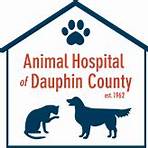 animal hospital of dauphin county hours locations3