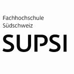 Fachhochschule Südschweiz (SUPSI)1