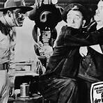 Laurel und Hardy: Schrecken der Kompanie Film2