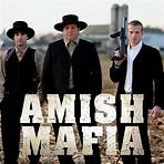 Expecting Amish movie1