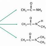 função amina e amida4