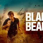 BlackBeach AIE4