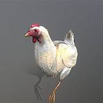 chicken model game4