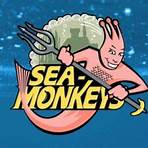 The Amazing Live Sea Monkeys2