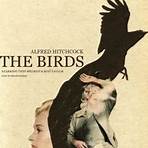 os pássaros filme4