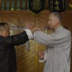 Ip Man: The Final Fight1