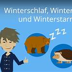 Winterschlaf5