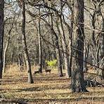 Weatherford, Texas, Vereinigte Staaten2