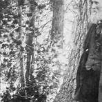 The Wilderness Idea: John Muir, Gifford Pinchot, and the First Great Battle for Wilderness film1