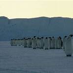 die reise der pinguine film4