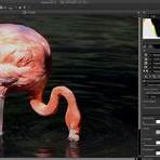 what is the best photo editing software for free list3