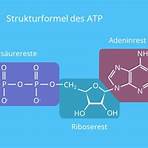 atp chemie2