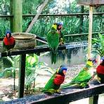 Kuala Lumpur Bird Park2