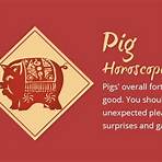 Chinese zodiac pig2