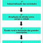 o que é urbanização no brasil2