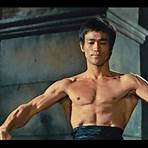 Bruce Lee2