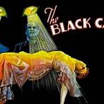 the black cat movie2