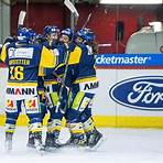 sc langenthal hockey3