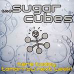 sugarcubes songs3