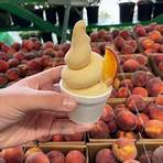 famous peaches in georgia1