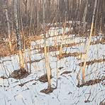 Peter Rotter3