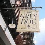 the grey dog1