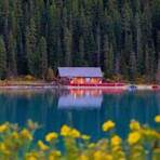lake louise banff national park2