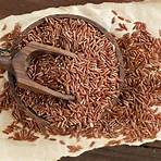 brown rice wikipedia3