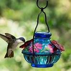 hummingbird feeder with camera4