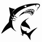 tiburón dibujo blanco y negro3