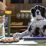 Cats & Dogs 3 – Pfoten vereint! Film5