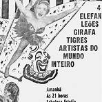 nitro circus no brasil2