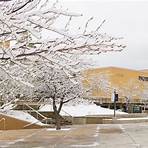 Utah State University4