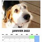 calendrier france semaines 20224