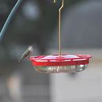 hummingbird feeder4