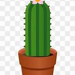 cactus png2