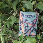 Mogul Mowgli3