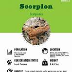 Scorpion3