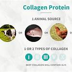 What is multi-collagen protein?3