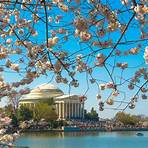 Should I visit Washington DC?3
