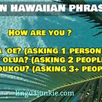 what is hello in hawaiian language3