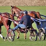 what does harness racing have in common with thoroughbred racing products1