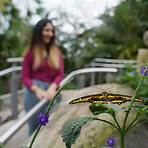 niagara parks butterfly conservatory coupon2